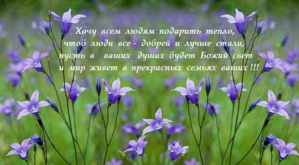 Доброе утро благословенного дня