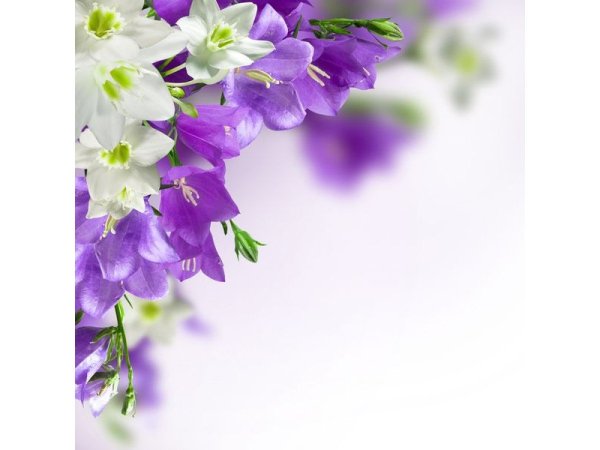 Пожелания благословения