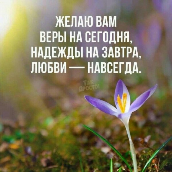 Позитивные цитаты