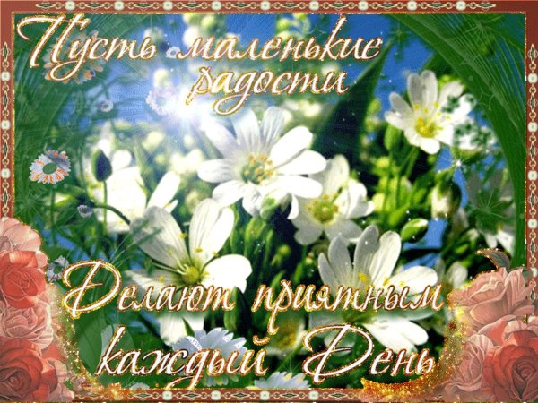 Добрые пожелания на каждый день