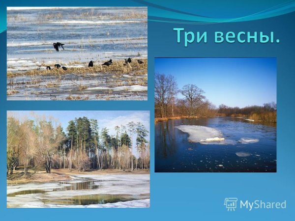 Виталий Бианки три весны