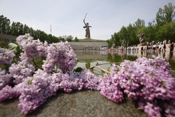 Волгоград сирень Мамаев Курган