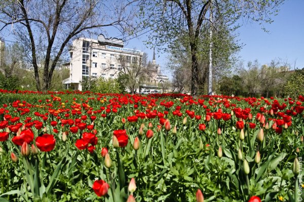 Волгоград весной