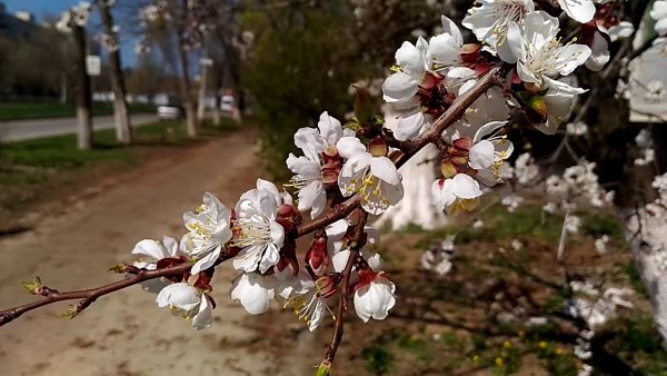 Волгоград набережная лето