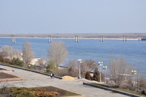 Красивая природа Весна Волгоград