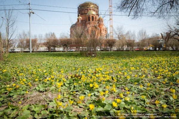 Мамаев Курган Сталинград Волгоград