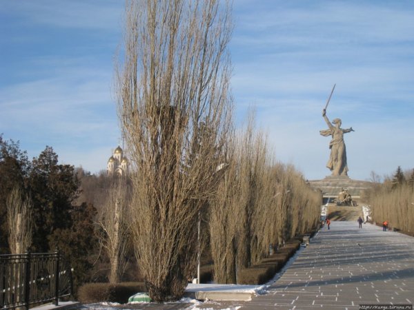 Голуби на фоне церкви Евпатория