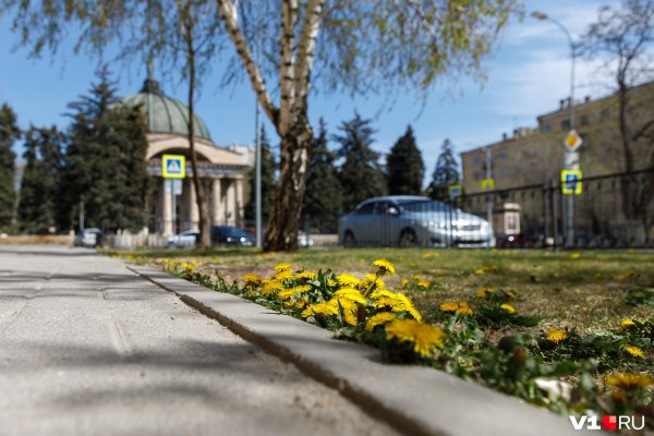 Волгоград весной