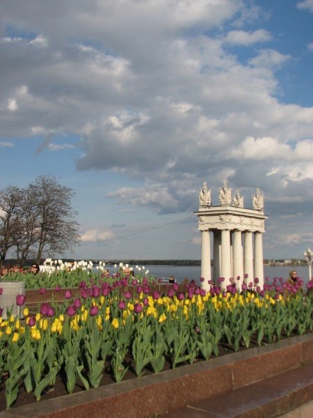 Сакура в ЦПКИО Волгоград