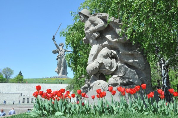 Природа в городе Волгограде