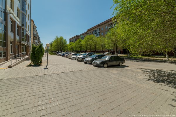 Весенний Волгоград фото 2020