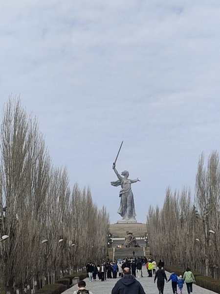 Волгоградские березы на Мамаевом Кургане