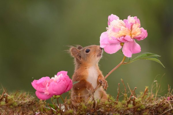 Прекрасного дня с животными