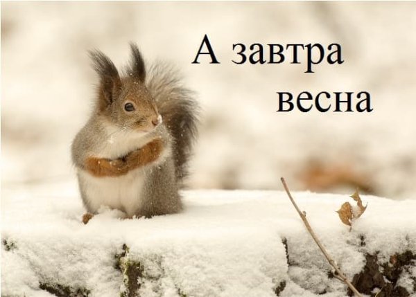 Картинки хорошая новость завтра Весна