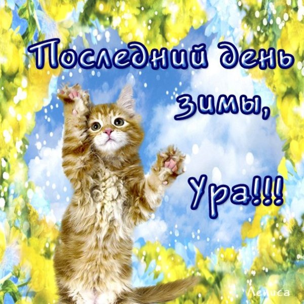 Открытки спокойной ночи до завтра