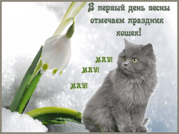 Доброе утро последний день весны смешные