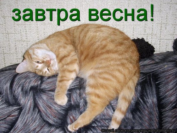 С последним днем зимы