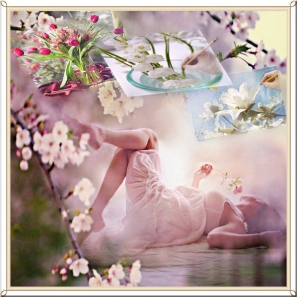 "Солнце в лесу"