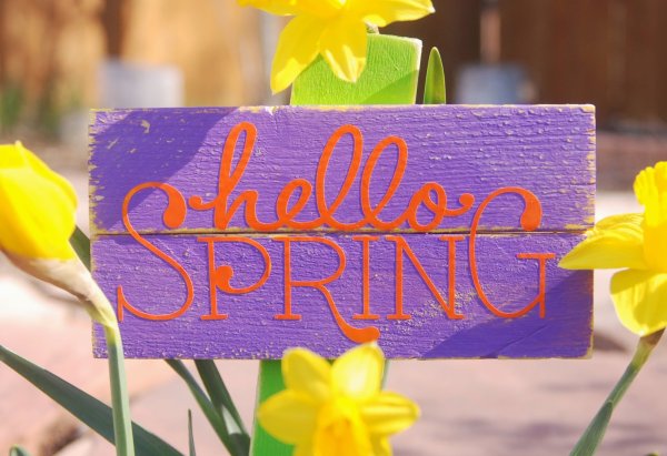 Hello Spring обои на рабочий стол