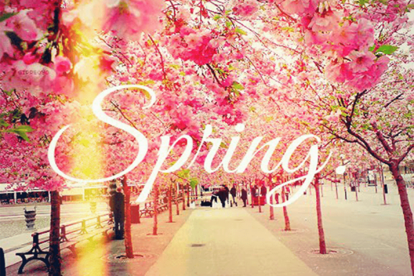 Hello Spring стих