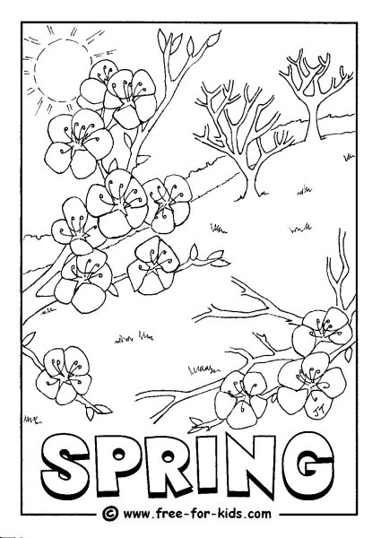 Seasons 2 класс