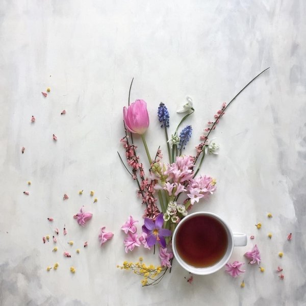 Весеннее утро стильные