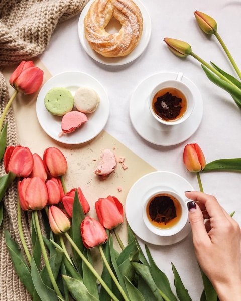 Завтрак с тюльпанами