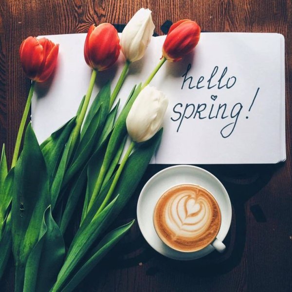 Тюльпаны и кофе