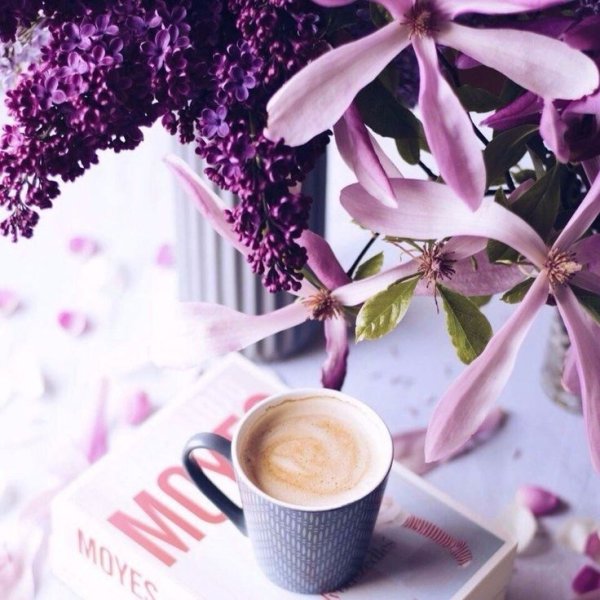 Фиолетовые цветы и кофе