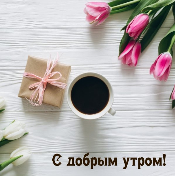 Лаконичные открытки с добрым утром