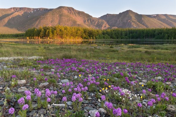 Байкальская Ривьера бухта Песчаная зимой