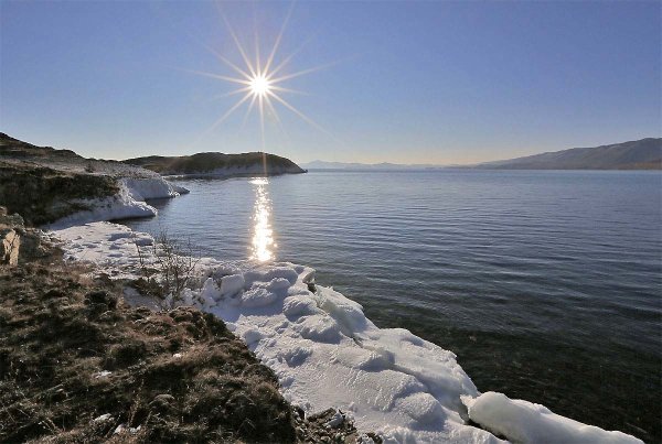 Багульник море Владивосток