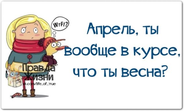 Смешные цитаты про погоду