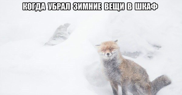 Шутки про холодную весну