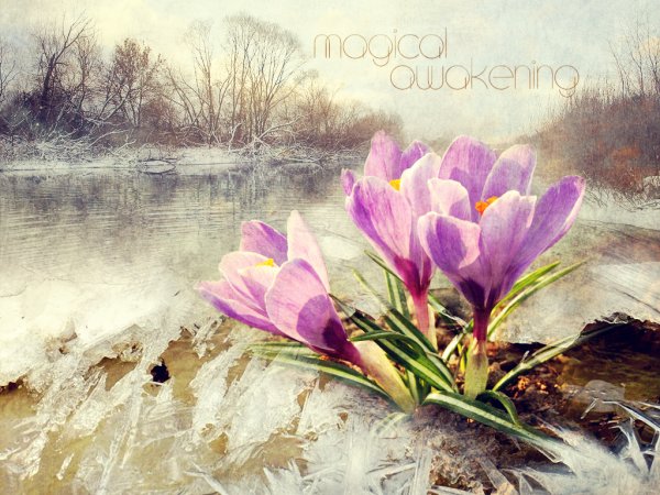 Волшебство весной