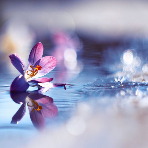 Барбара Флорчик