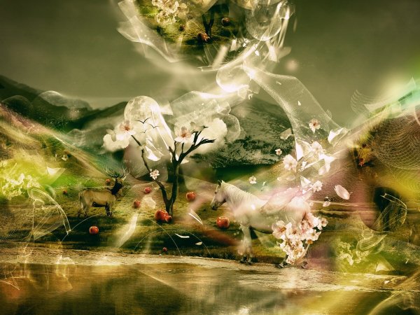 Магия природы