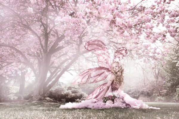 Художник Shu Mizoguchi