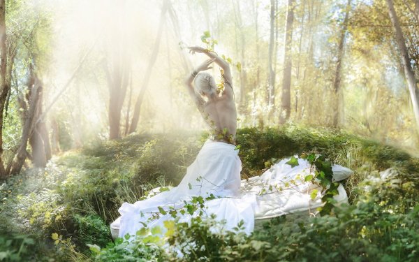 Радость волшебство