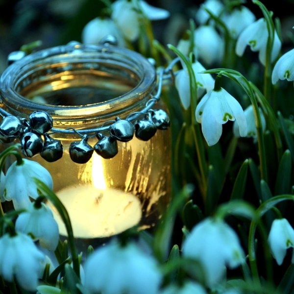 Девушка в сказочном лесу