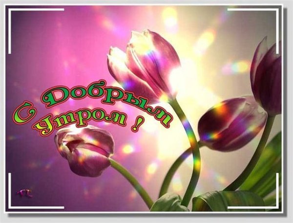 Добрых выходных и весеннего настроения