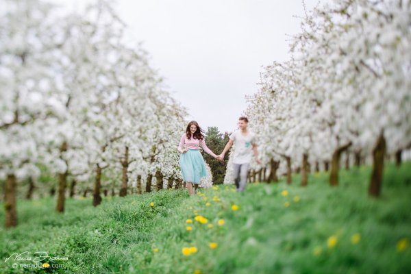 Яблоневый сад Наро-Фоминск