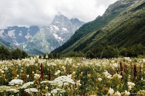 Альпийские Луга Теберда