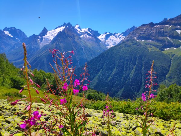 Тебердинский заповедник Домбай Весна