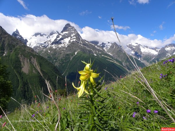 Домбайская Поляна Карачаево-Черкесия
