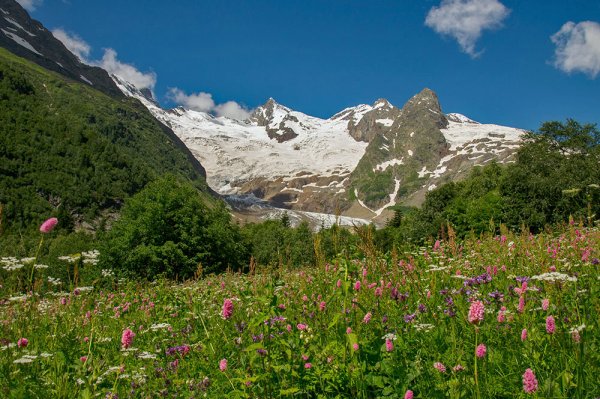 Ледник Алибек Домбай