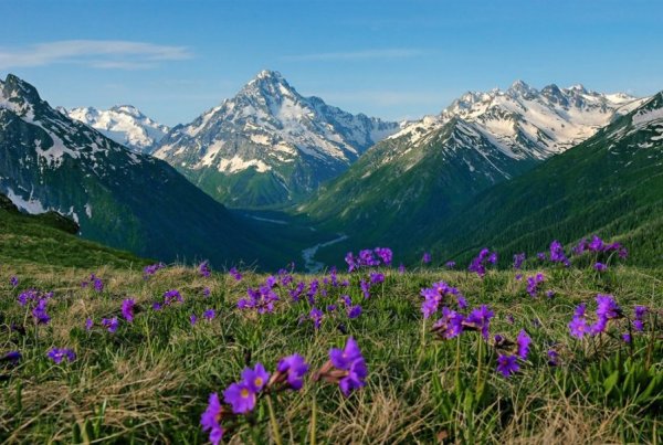 Домбай Альпийские Луга