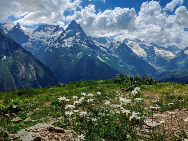 Альпийские Луга Домбай июнь