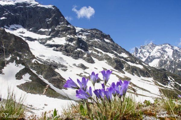Минеральные воды Домбай