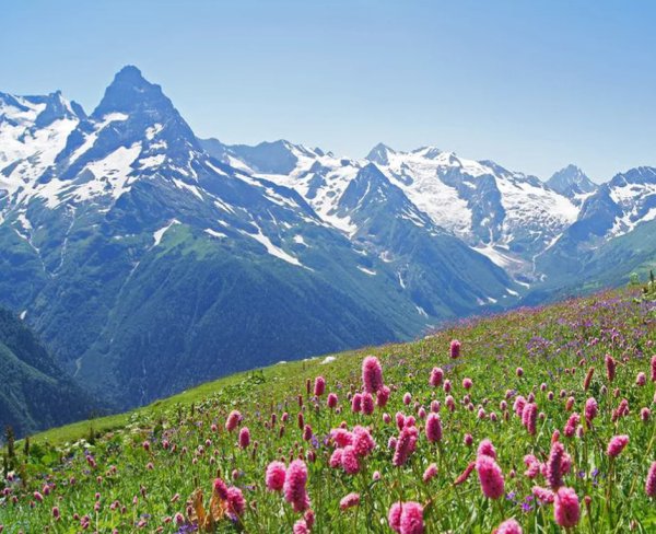 Терскол Альпийские Луга